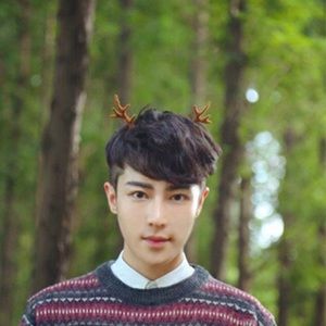 🦌 Pair of reindeer antler hair clips in red or brown 🦌